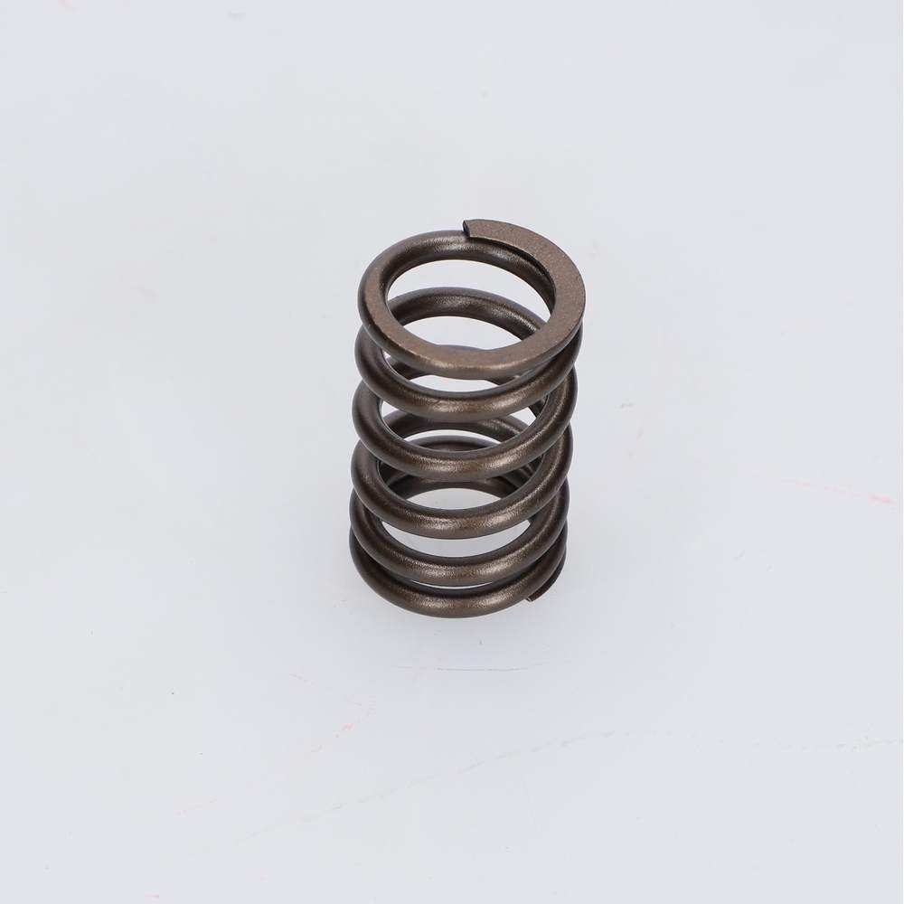 Valve spring